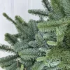 гілки ялинки замовляй красу - Зображення 2